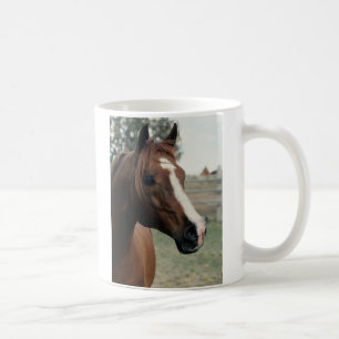 Taza De Café Árabe en Pasture