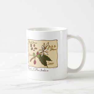 Taza De Café Arabica del Coffea