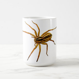 Taza De Café Araña lobo rabiosa (Rabidosa rabida)