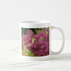 Taza De Café Araña rosa