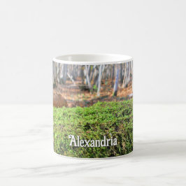 Taza De Café Árbol caído en otoño de Moscú - Personalizado