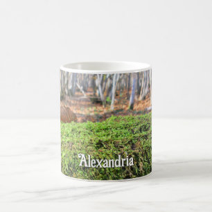 Taza De Café Árbol caído en otoño de Moscú - Personalizado