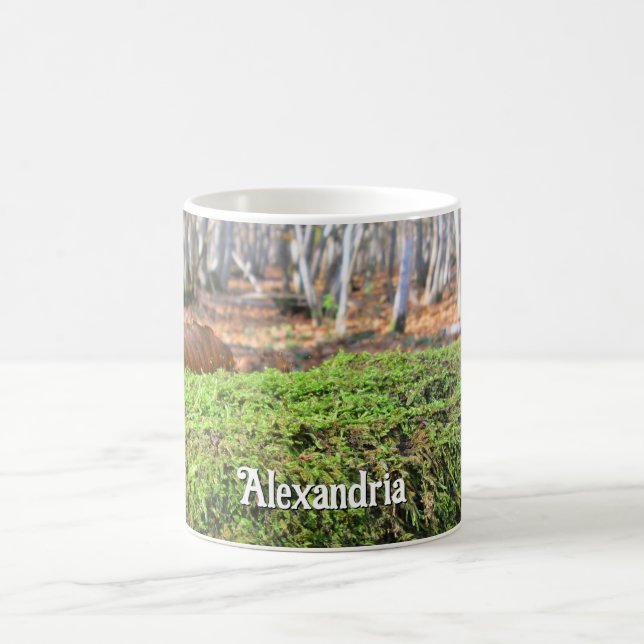 Taza De Café Árbol caído en otoño de Moscú - Personalizado (Centro)