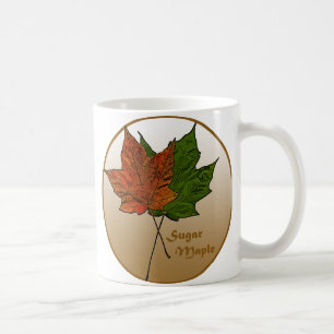 Taza De Café Árbol de arce de azúcar