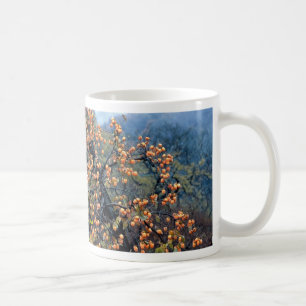 Taza De Café Árbol de caquis, caída