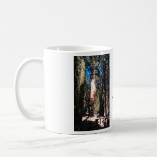 Taza De Café Árbol de la secoya gigante de general Sherman