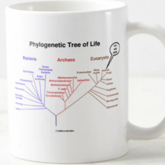 Taza De Café Árbol de la vida filogenético - usted está aquí