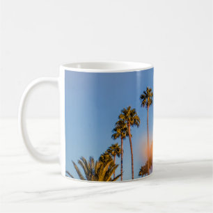 Taza De Café Árbol de palma bajo cielo azul
