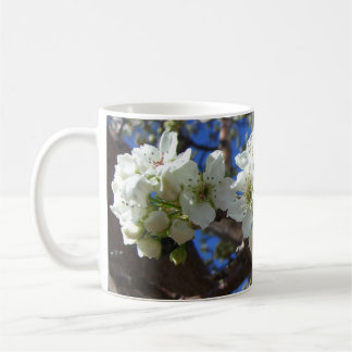Taza De Café Árbol de peras florido de primavera de los Cluster