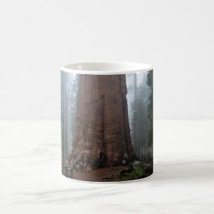 Taza De Café Árbol general Sherman, Sequoia, CA