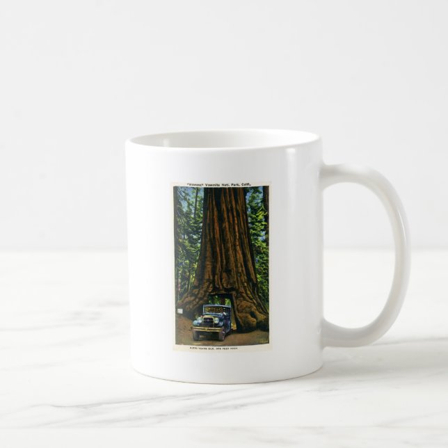 Taza De Café Árbol grande Wawona, arboleda de Mariposa, CA (Derecha)