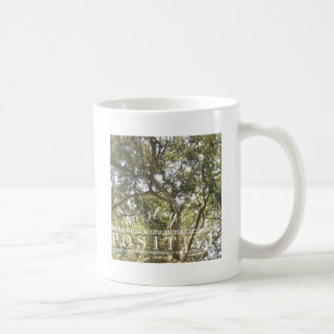 Taza De Café Árbol positivo