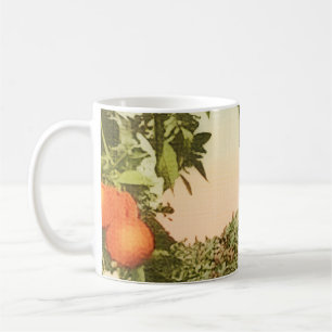 Taza De Café Arboleda de Naranja Antigua