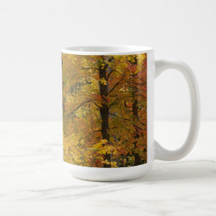 Taza De Café Árboles Amarillos Del Otoño