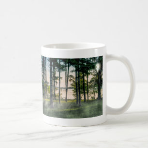 Taza De Café Árboles brumosos en Table Rock