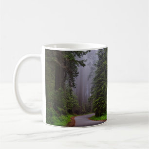 Taza De Café Árboles de secuoya gigantes, carretera de viento,