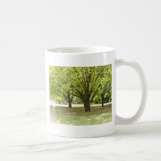Taza De Café Árboles de sombra