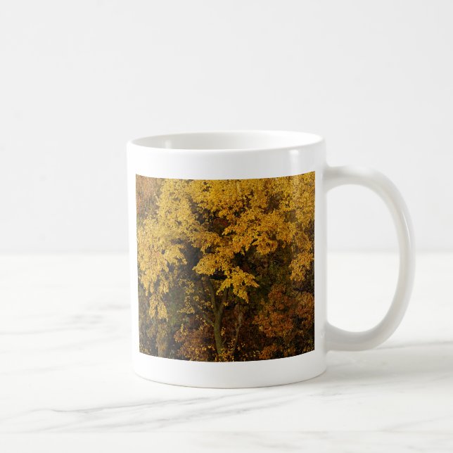 Taza De Café Árboles del Otoño (Derecha)