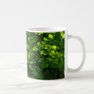 Taza De Café Árboles en la primavera. Bute Park, Cardiff. Gales