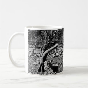 TAZA DE CAFÉ ÁRBOLES NEGROS Y BLANCOS