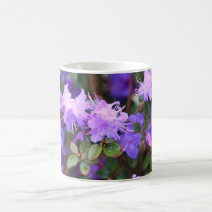 Taza De Café arbusto de flores de azalea pura
