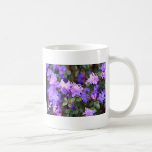 Taza De Café arbusto de flores de azalea pura