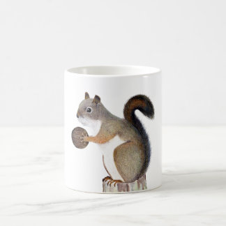 Taza De Café Ardilla
