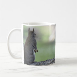 Taza De Café Ardilla