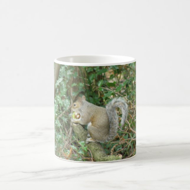 Taza De Café Ardilla con Acorn Mug (Centro)
