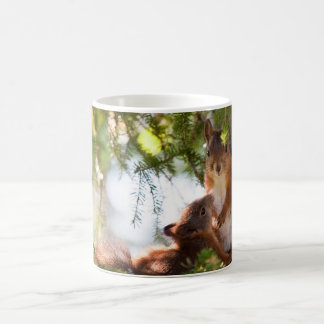 Taza De Café Ardilla de amamantamiento