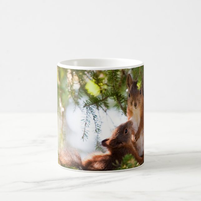 Taza De Café Ardilla de amamantamiento (Centro)