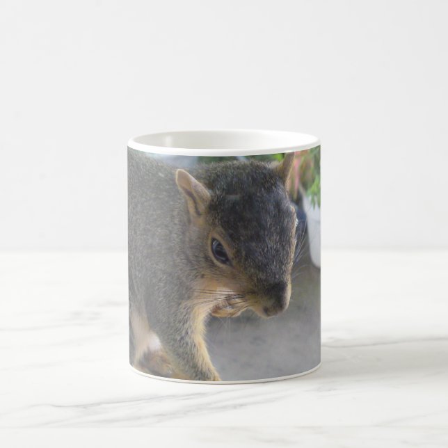Taza De Café Ardilla de cerco (Centro)
