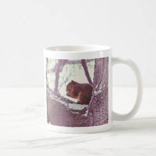 Taza De Café Ardilla de invierno