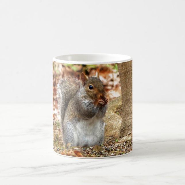 Taza De Café ardilla hambrienta (Centro)