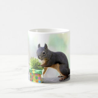 Taza De Café Ardilla y presente envuelto