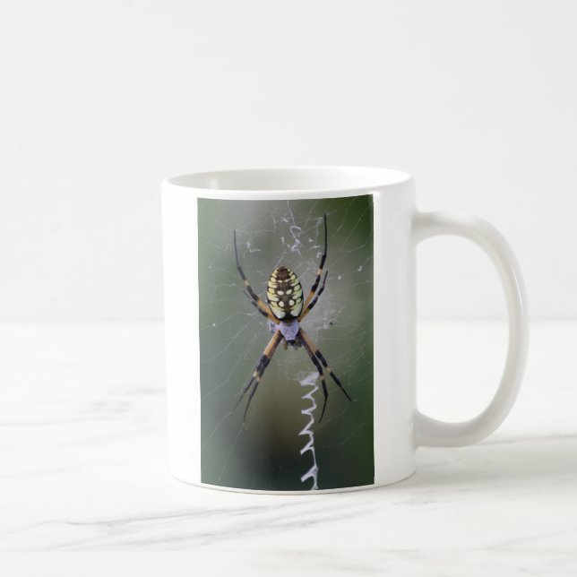Taza De Café Argiope Aurantia (Derecha)
