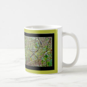 Taza De Café Argiope trifasciata Orb Weaver Spider