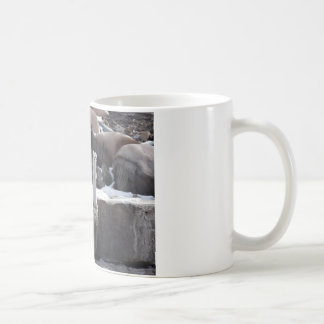 Taza De Café Armiño en las rocas Nevado