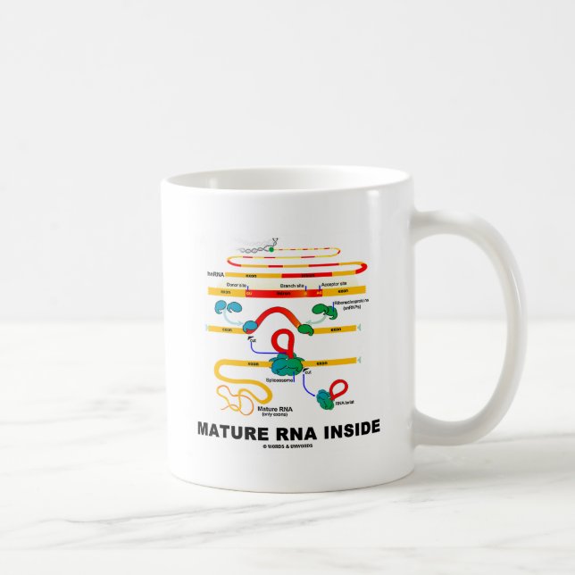 Taza De Café ARN de madurez interior (Derecha)
