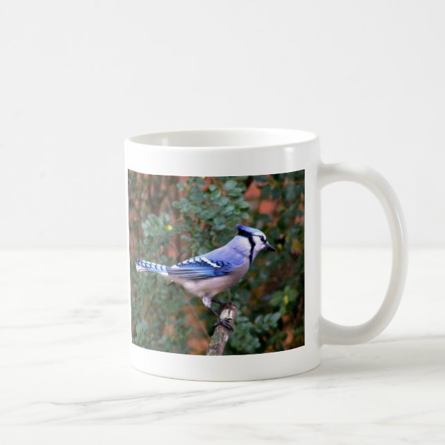 Taza De Café Arrendajo azul magnífico (Derecha)