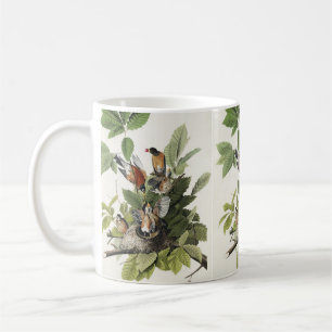 Taza De Café Arte Antiguo Nido de Pájaro de Robin Americano de