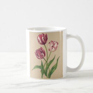 Taza De Café Arte botánico de tulipanes