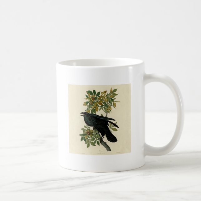 Taza De Café Arte clásico Audubon Raven (Derecha)
