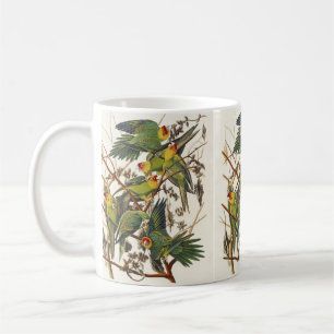 Taza De Café Arte de ave del loro de Carolina de Audubon vintag