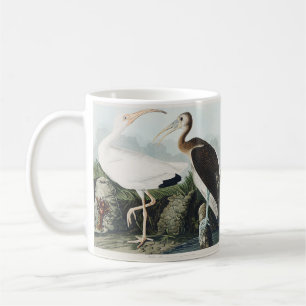 Taza De Café Arte de la naturaleza del Ibis Blanco de Audubon v