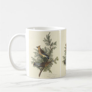 Taza De Café Arte de la Naturaleza del Pájaro de Cera de Cedro
