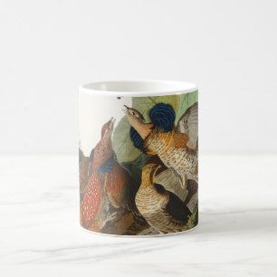 Taza De Café Arte de la naturaleza del urogallo de Audubon vint