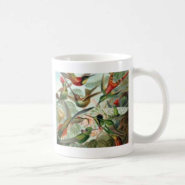 Taza De Café Arte de Paraíso de las Aves (Derecha)