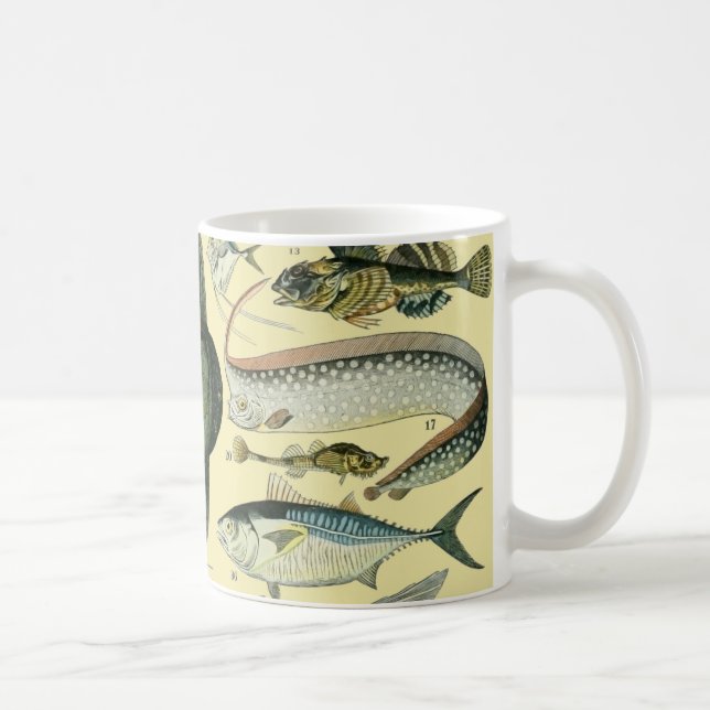 Taza De Café Arte de pesca científica de peces de época (Derecha)