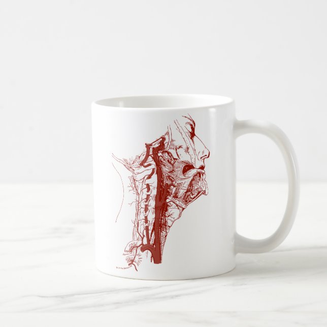 Taza De Café Arterias vertebrales humanas del viejo ilustracion (Derecha)